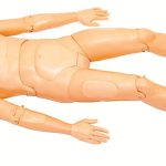 Extri Kelly Manikin