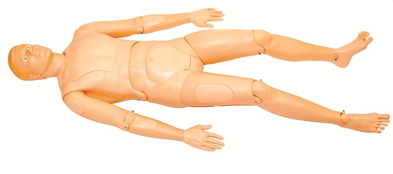 Extri Kelly Manikin